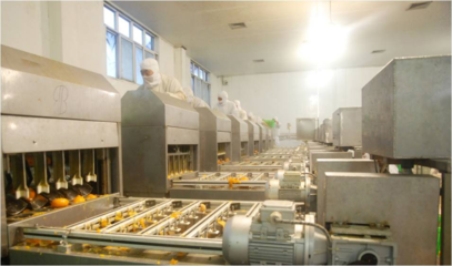 以“新”賦能，“味”見未來！豐島食品走出綠色智造之路