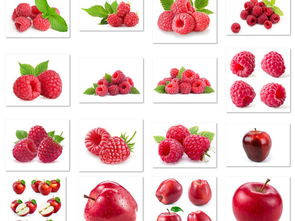 高清果蔬合成圖素材包 486.20MB精品資源全解析